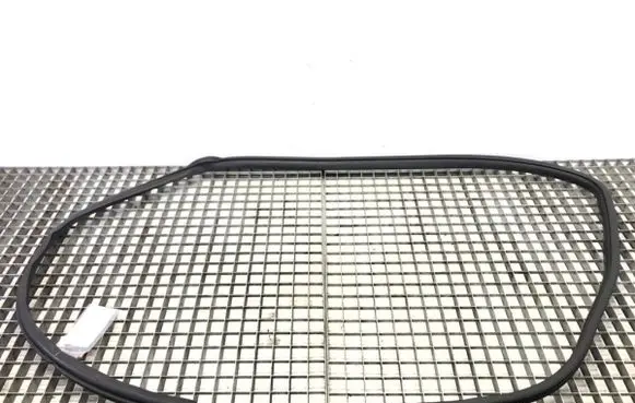 Mitsubishi ASX Rubber seal front door (on door) 