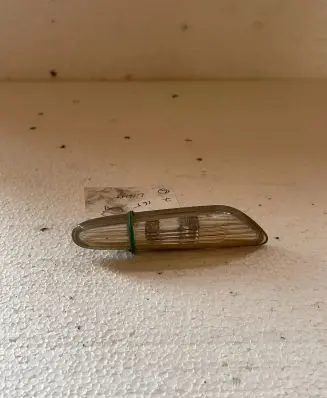 Front fender indicator light