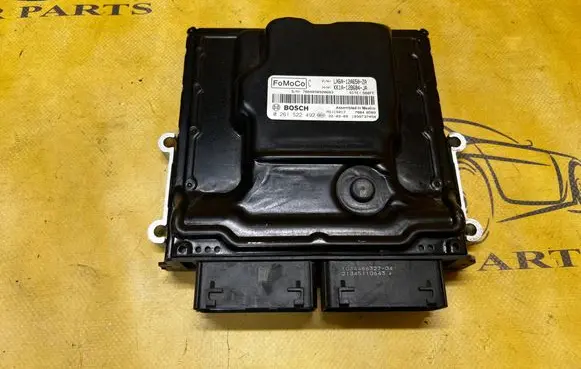 Engine control unit/module ECU
