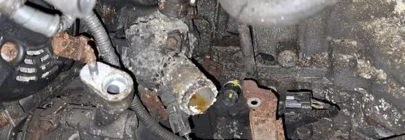 Honda FR-V Engine coolant pipe/hose