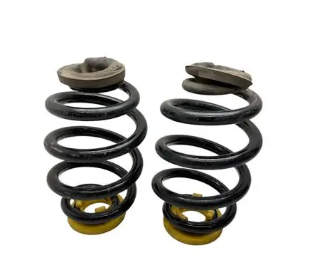 Rear coil spring