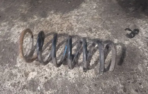 Ford S-MAX Rear coil spring