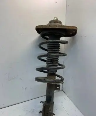 Peugeot 807 Front shock absorber/damper 824904000150