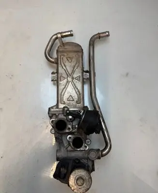 Skoda Roomster (5J) EGR valve cooler 312231