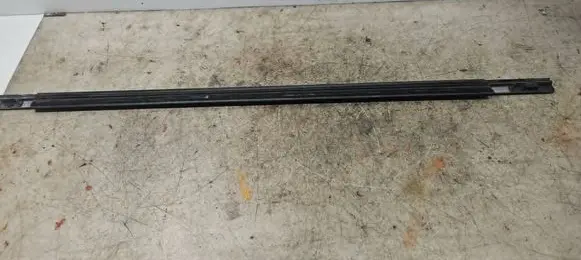 Chrysler Town u0026 Country V Front door trim (molding)