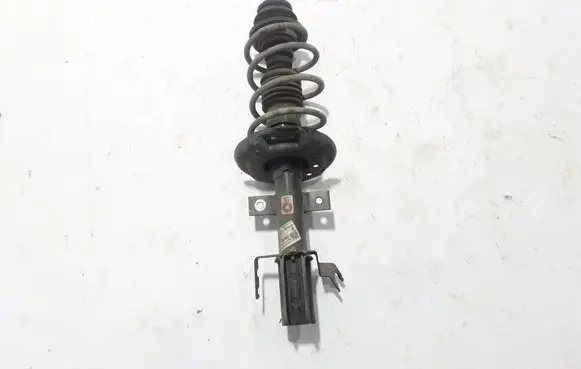 Dacia Sandero III Front shock absorber/damper 402009041R