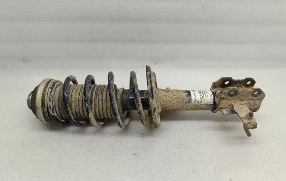 Opel Zafira B Front shock absorber/damper 313480 111500313480