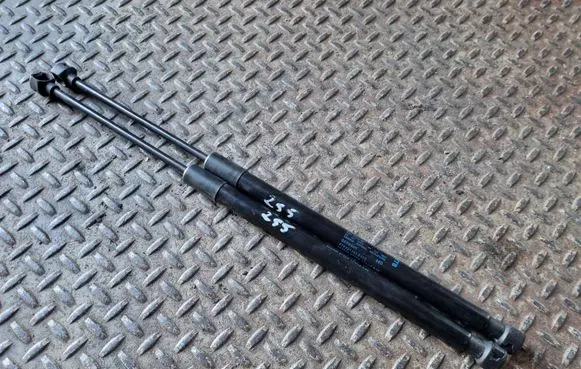 Tailgate strut