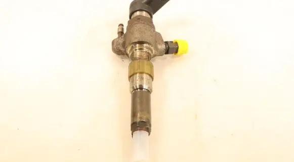 Citroen C4 I Picasso Fuel injector 9674973080