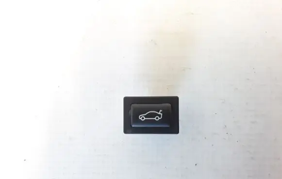 Tailgate opening switch