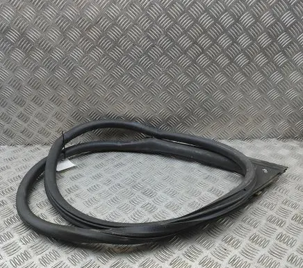Porsche Taycan 9J1 Rubber seal front door (on door) 9J0831722