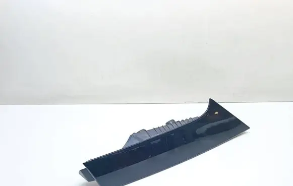 Rear/tail light trim molding