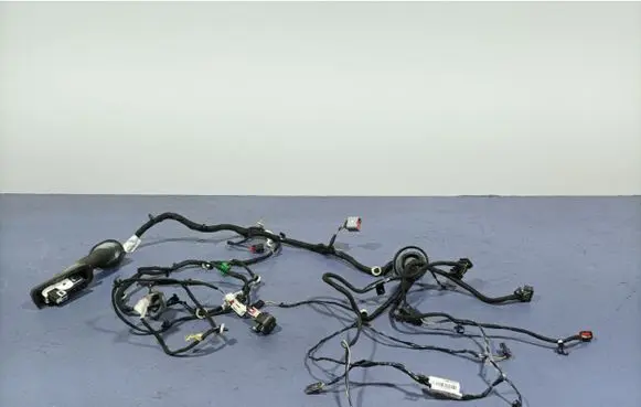 Opel Insignia A Other wiring loom 39153002