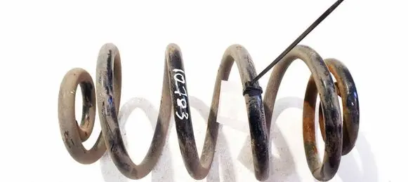 Opel Signum Rear coil spring 