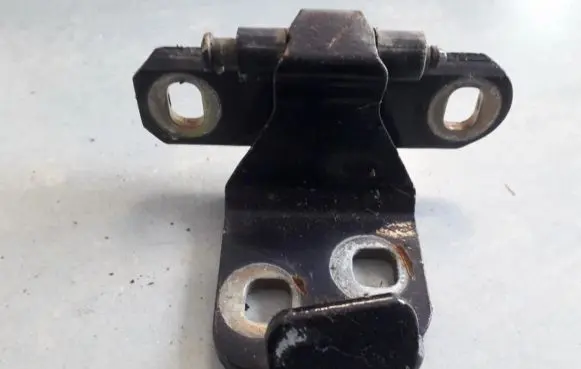 Rear door lower hinge