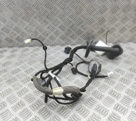 Renault Arkana Front door wiring loom 241242819R