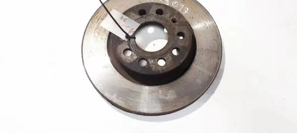 Volkswagen Tiguan Front brake disc ventiliuojamas