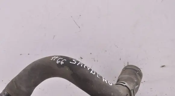 Dacia Sandero III Engine coolant pipe/hose 215038971R