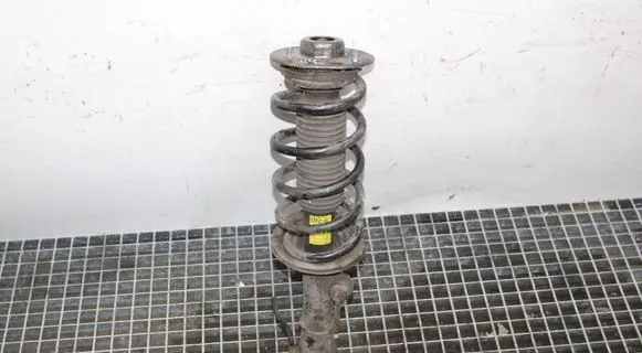 Opel Antara Front shock absorber/damper 95166267