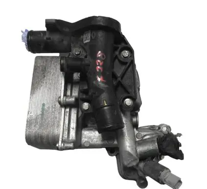 Renault Trafic III (X82) Engine oil radiator 152084648R
