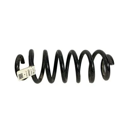 Ford Bronco Rear coil spring LX615560BNF 2462022 CX430