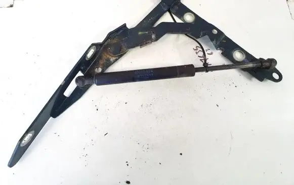 Jaguar X-Type Tailgate/trunk/boot hinge 1x43432a39