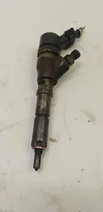 Citroen C5 Fuel injector 0445110076