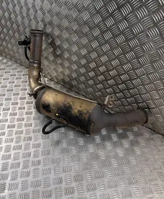 Mercedes-Benz R AMG W251 Catalyst/FAP/DPF particulate filter A1644907236