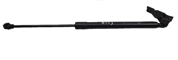 Tailgate/trunk strut/damper