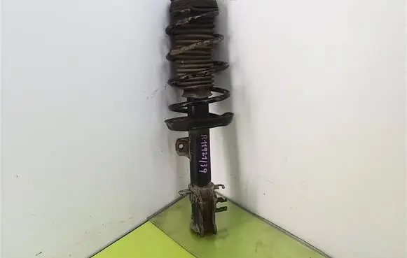 Fiat Grande Punto Front shock absorber with coil spring 3348003