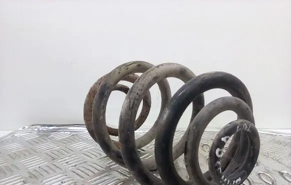 BMW 3 E46 Rear coil spring