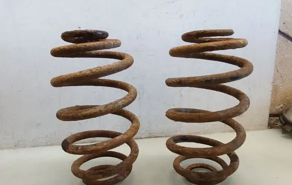 Rear coil spring