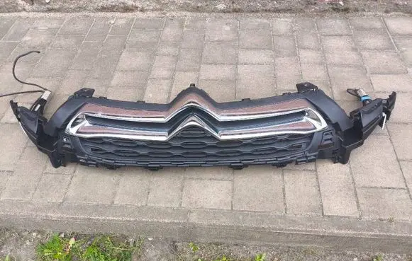 Citroen DS4 Front grill 9688185377 02491524