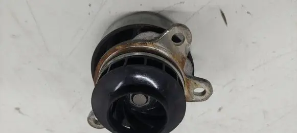 Renault Trafic III (X82) Water pump 210516516R