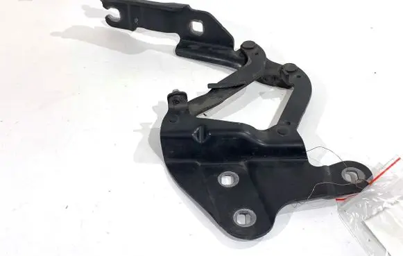 BMW X1 E84 Engine bonnet/hood hinges 2990360