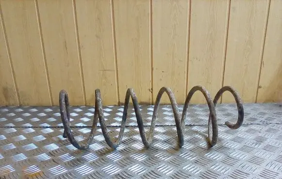 Peugeot 406 Front coil spring