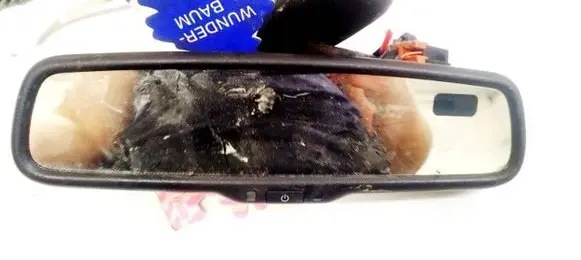 Hyundai Santa Fe Rear view mirror (interior) E11026002