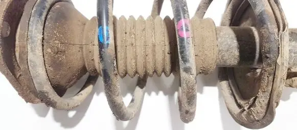 Toyota Avensis T250 Front coil spring