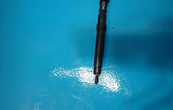 Citroen C4 I Picasso Fuel injector 9686191080