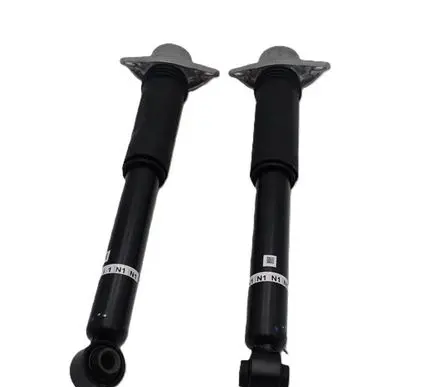Toyota Corolla E210 E21 Rear shock absorber/damper 4853002N10 48341F4010