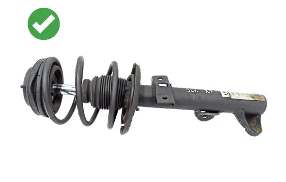 Mercedes-Benz SLK R171 Front shock absorber with coil spring A1713200813