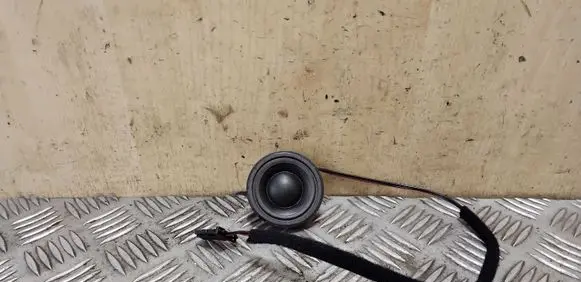 Panel speaker