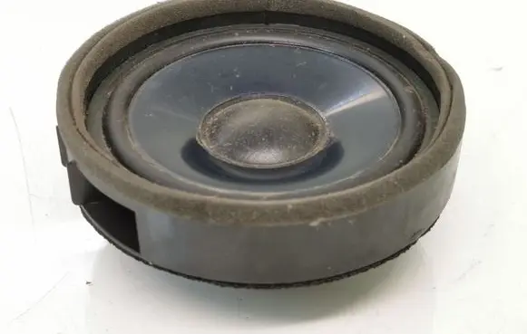 Front door speaker