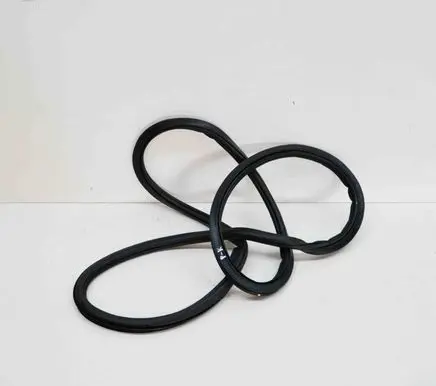 Volkswagen ID.3 Rubber seal front coupe door 10A867911