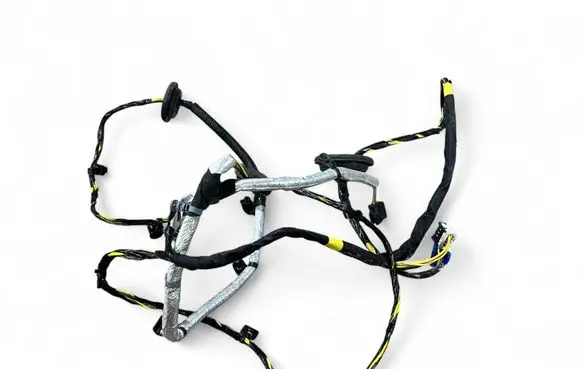Other wiring loom