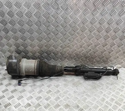 Mercedes-Benz CL C216 Rear shock absorber/damper A2213202113