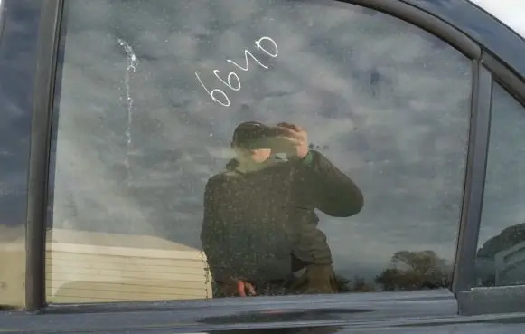 KIA Sorento Rear door window glass