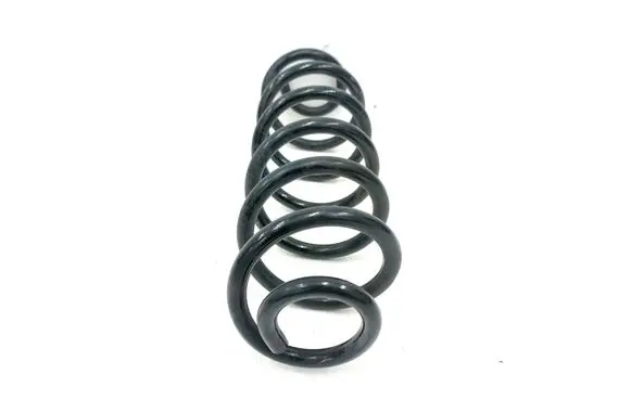 Toyota RAV 4 (XA50) Rear coil spring 