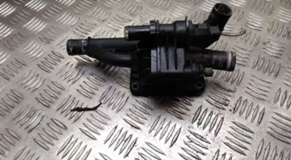 Thermostat/thermostat housing