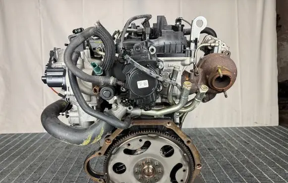 SsangYong Rexton Engine 671960 D22DTF